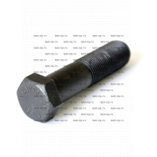 Болт крепления катка M16x40