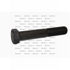 Болт крепления катка M18x60